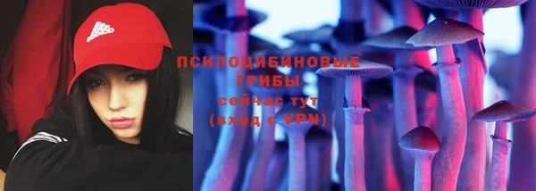 гидропоника Няндома
