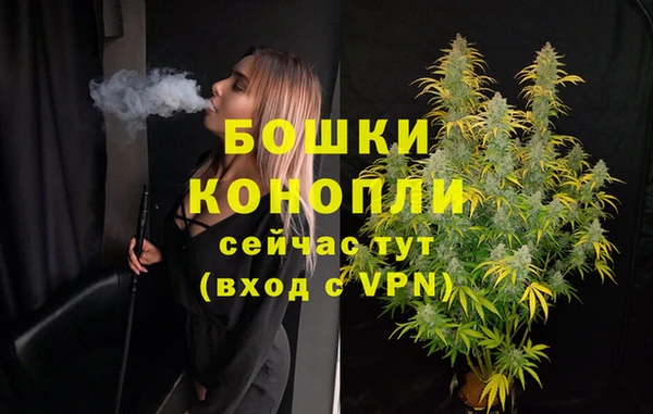 стафф Новодвинск