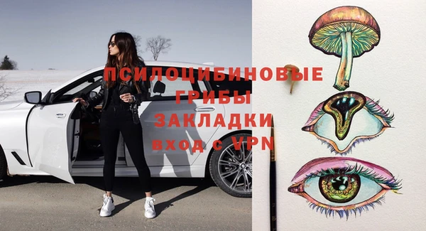 стафф Новодвинск