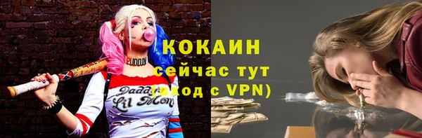 гидропоника Няндома