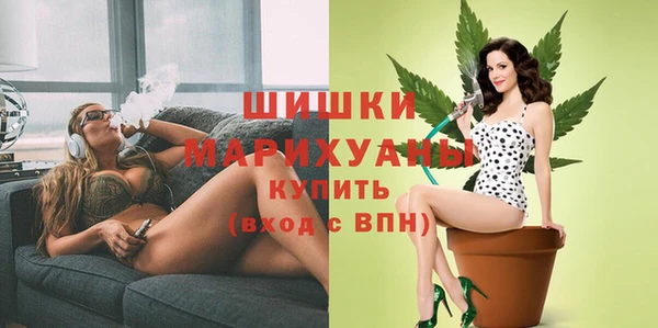 гидропоника Няндома